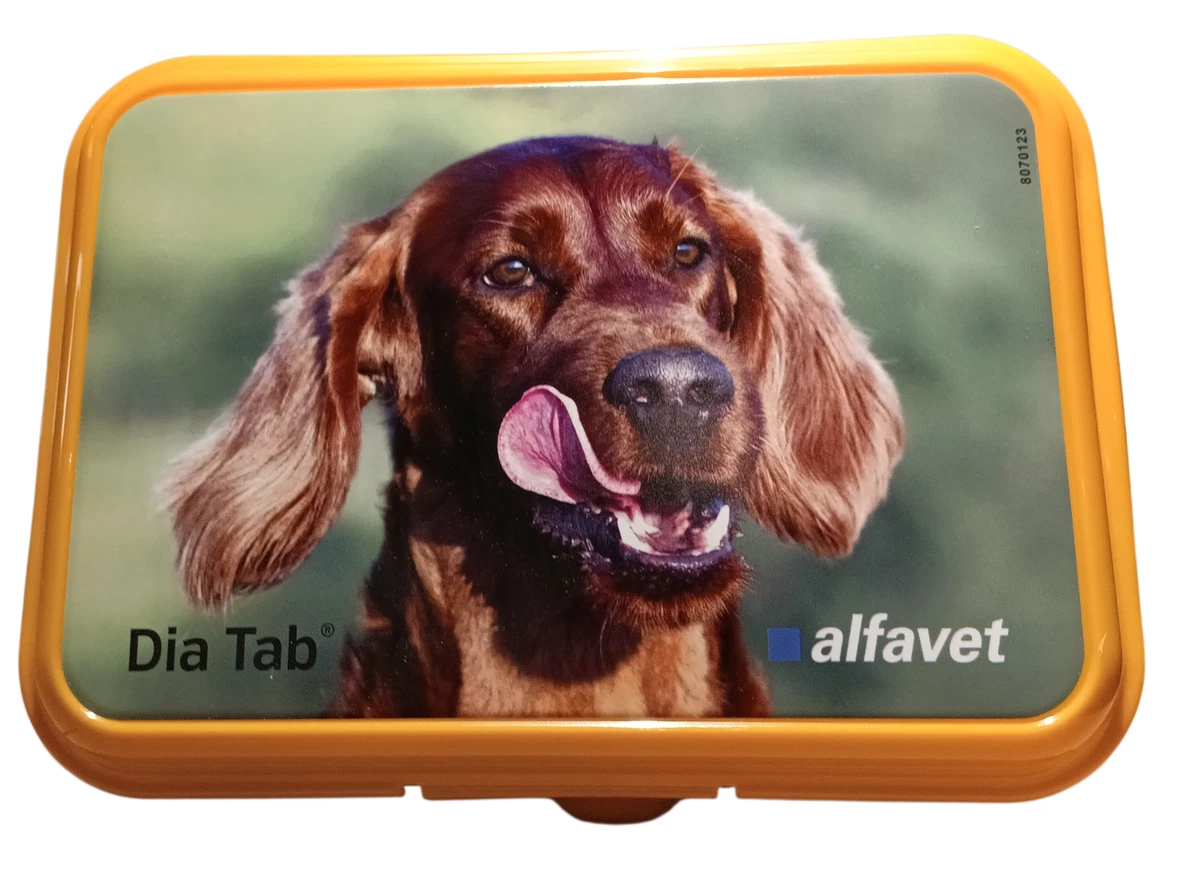 NutriLabs RUBACEL Kautabletten Für Hunde, 100 Kautabletten