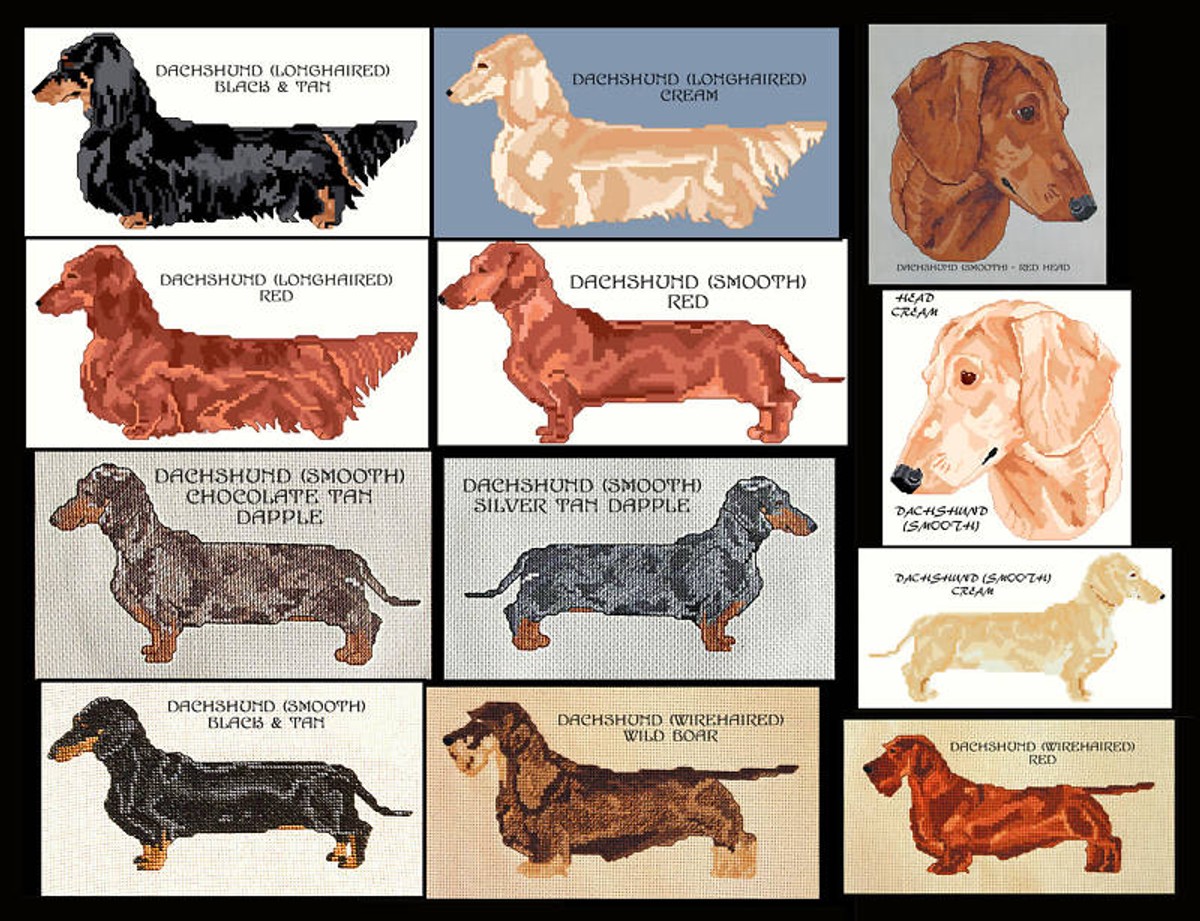 DACHSHUND COUNTED CROSS STITCH PATTERN