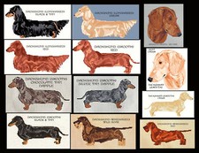DACHSHUND COUNTED CROSS STITCH PATTERN