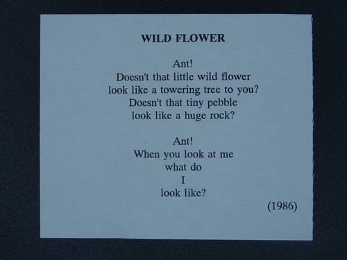 WILD FLOWER Paintings Poems by Japanese Disabled Artist Tomihiro Hoshino PC - Picture 2 of 3