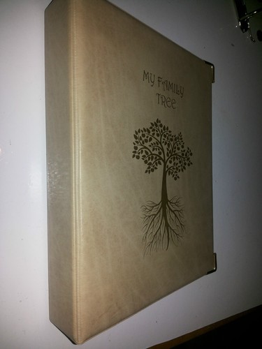 My Family Tree - Carpeta de almacenamiento de historia ref beige con 4d 40 mm capacidad metálica - Imagen 2 de 4
