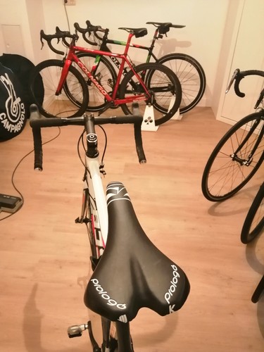 Rennrad Moser Carbon MKA 600 - Campagnolo-Ausstattung - neuwertig! - Bild 3 von 9
