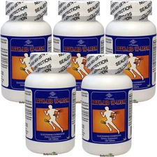 5 x Glucosamine Chondroitin MSM 120 Tabs
