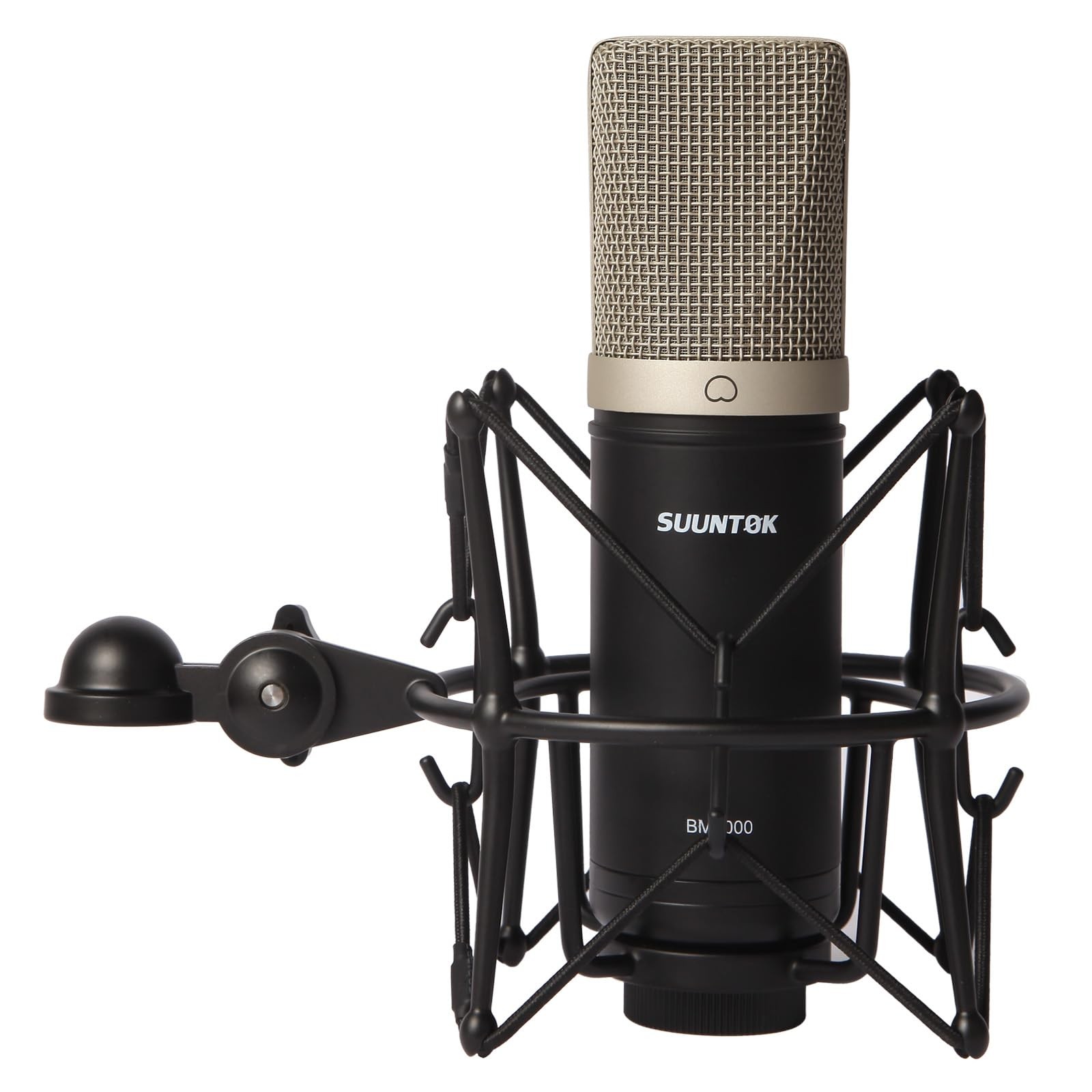 Condenser Microphone XLR, Large Diaphgram Professional Recording Cardioid Mic...