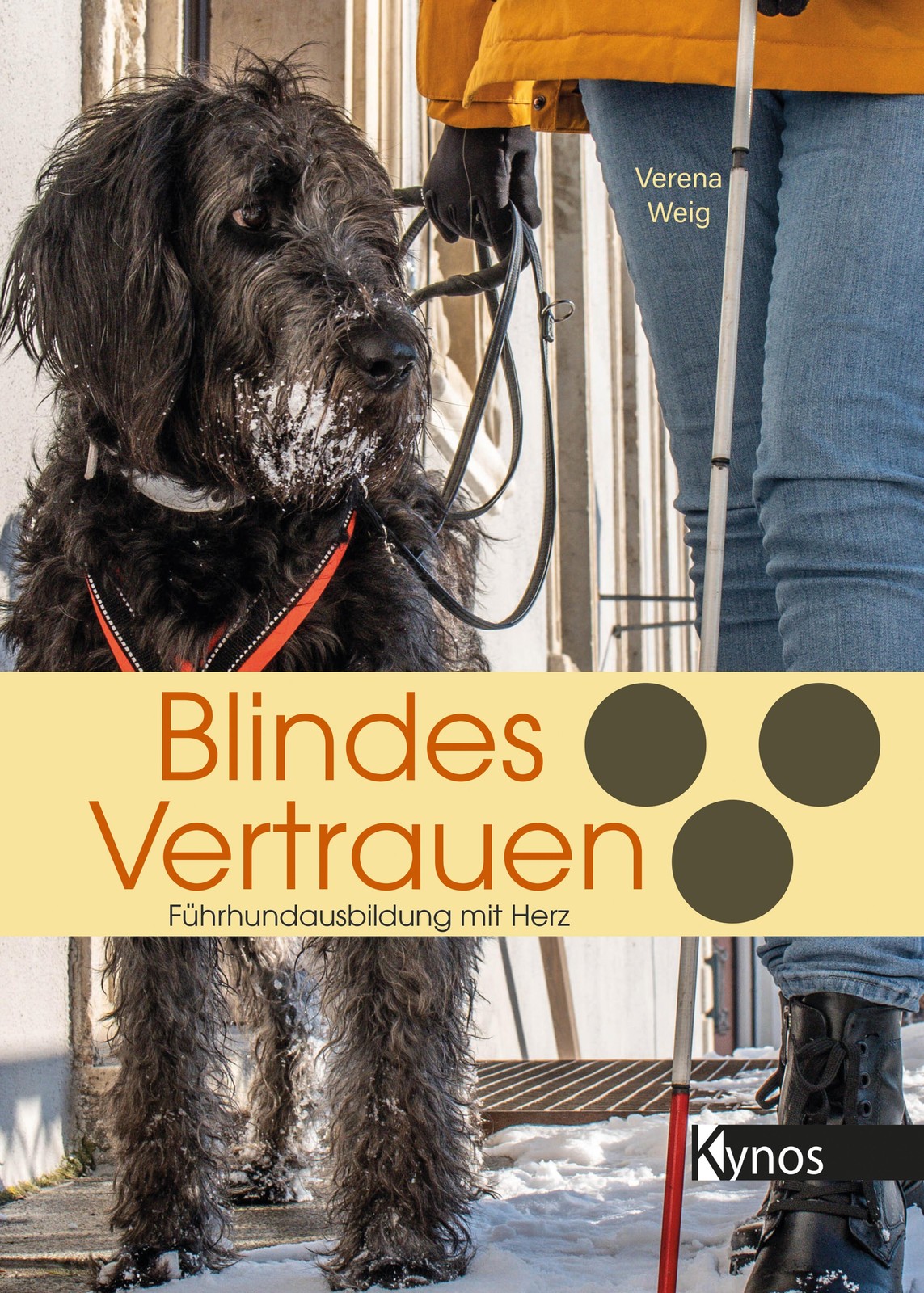 Blindes Vertrauen: Führhundausbildung mit Herz - Bild 2