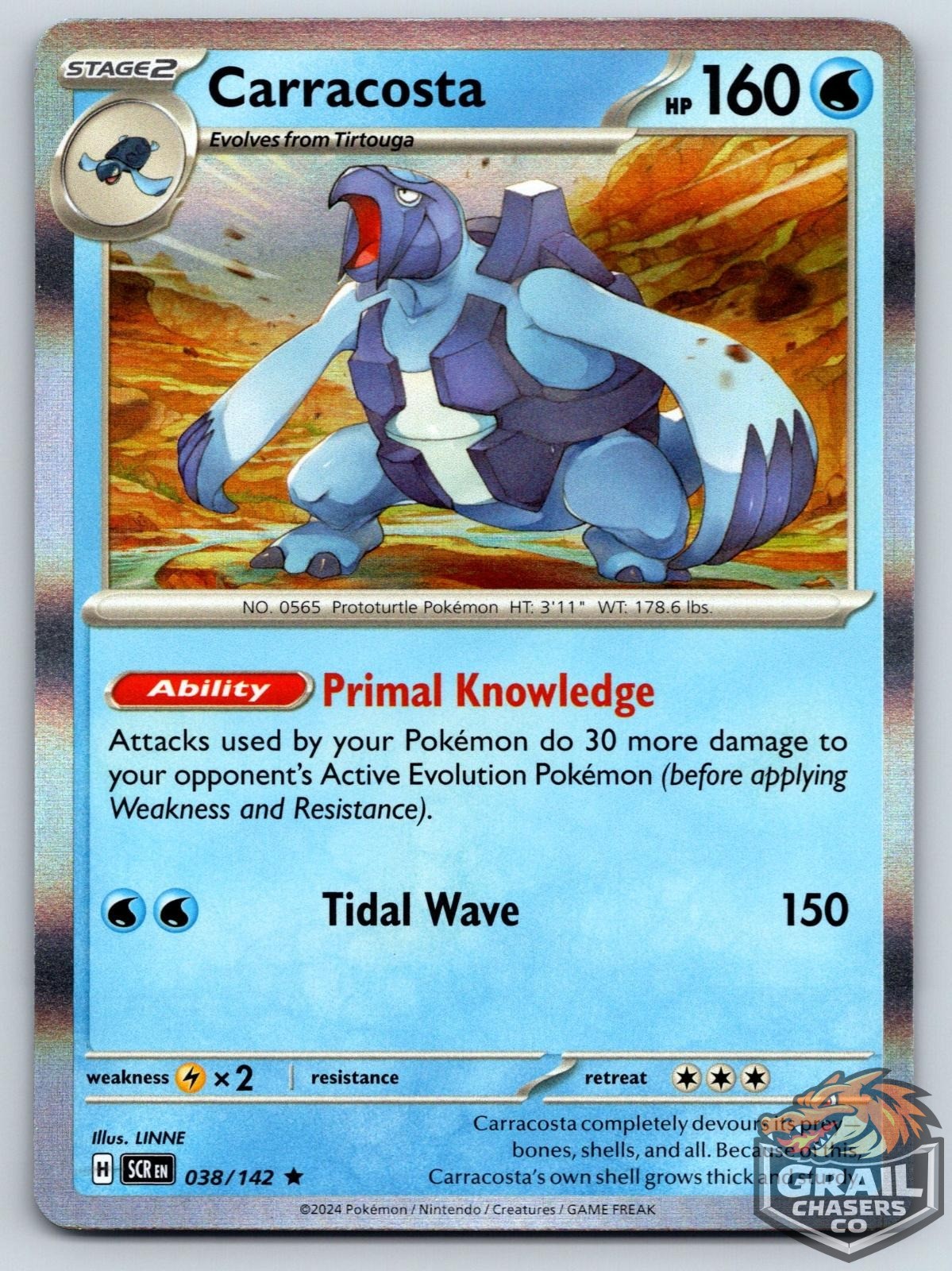 Carracosta 38/142 Stellar Crown Near Mint Holo Pokemon Card