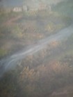 Foto 7 di 7