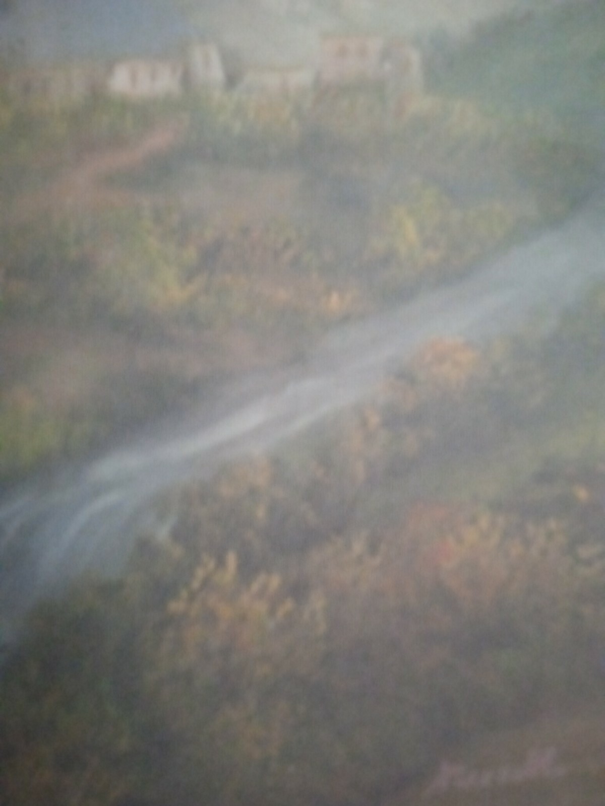 Foto 7 di 7