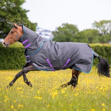 Shires Tempest Original 300g Weidedecke und Hals Set - Schwarz