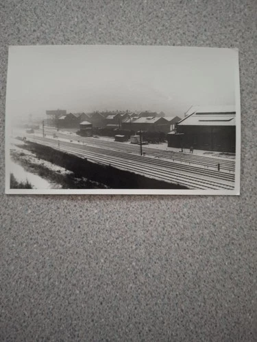 1962 Wellingborough Locomotive Shed, Northants, Photograph
