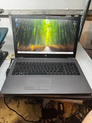 HP  255 G6 AMD E2-9000e Radeon R2 1TB HDD 8GB RAM Laptop Win11 Pro #5790