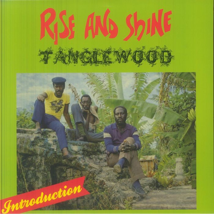 TANGLEWOOD - Rise & Shine - Vinyl (LP)
