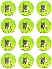 Personalised Edible Cupcake Toppers Custom Photo Icing Sheet Rice Paper