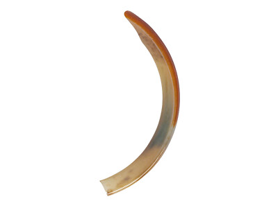 Five (5) Large Beaver Teeth (174-300-L) Y2J