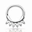 thumbnail 14 - Choose Your Size 316L Stainless Steel Septum Clicker Nose Ear Ring Body Piercing