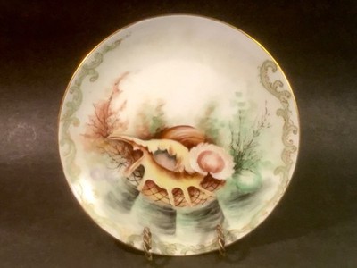 Hand Painted Shells Porcelain Plate