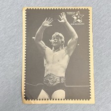 1981 Wrestling Super Stars-Hand Cut Magazine Pinup Bob Backlund