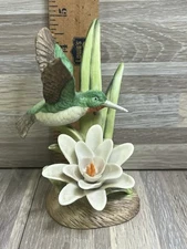 Hummingbird “Birds In Flight” “Flight To Spring”~The Hummingbird Odyssey ~ VGC ~