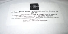 DJ TIM & DAVID KASSI DEEP MADNESS 12" Single NM US BEHOLD VINYL HOUSE RARE 2007