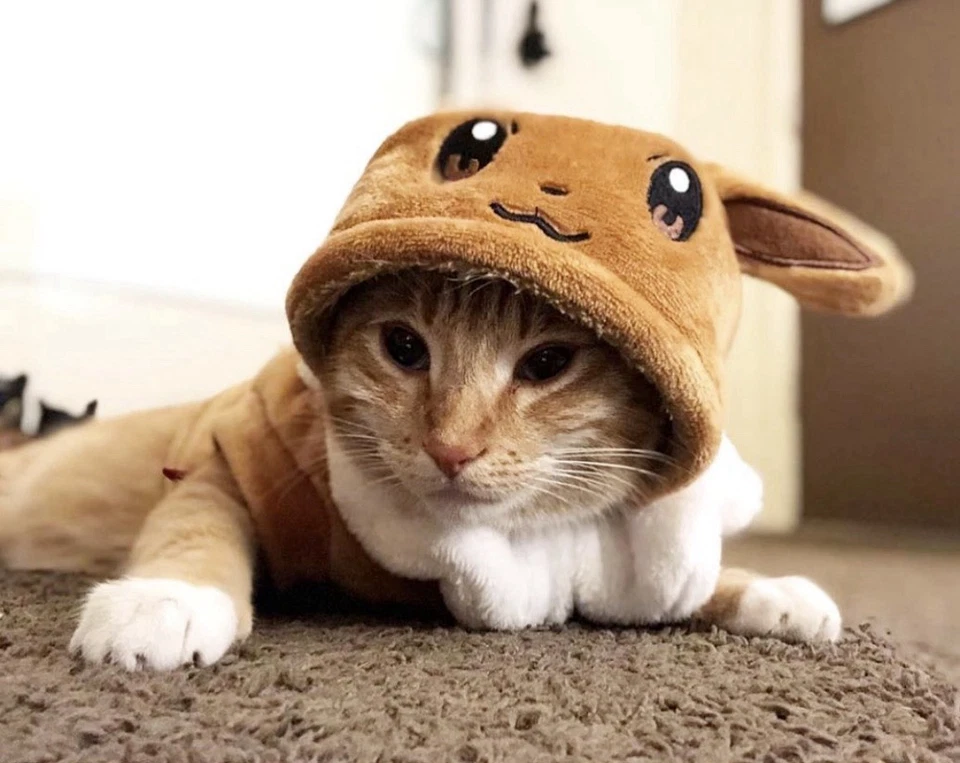 Jaqueta casaco roupa média animal de estimação cosplay quente lã fantasias cachorro Pokemon anime - Imagem 3 de 4