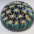 Vintage Art Glass paperweight 3” Millefiori Green  Red Floral Canes Perthshire