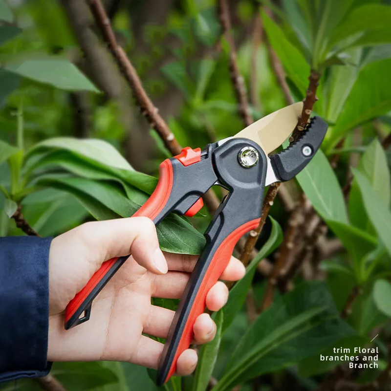Shears to sale cut branches