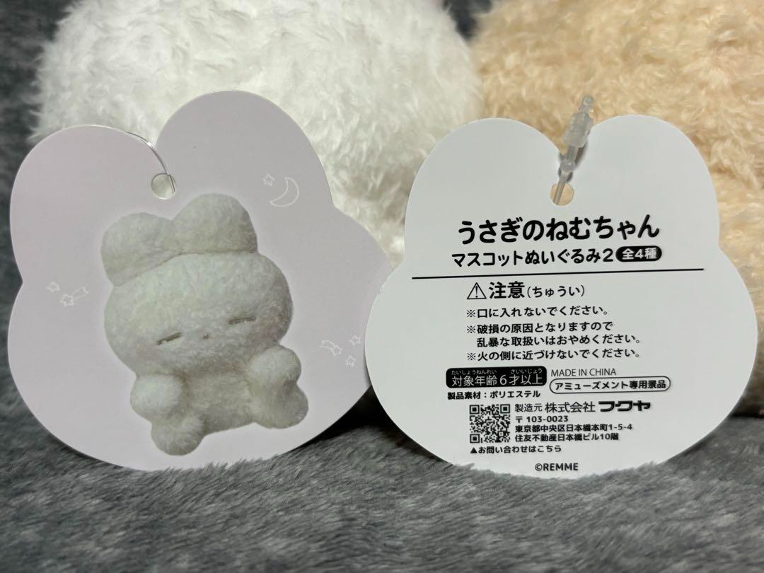 fluffyteddy＊ちぅちぅねずみ【No.28】 あさみみちゃん】ダニーくんぬいぐるみ 30cm – SimpleSideMascots