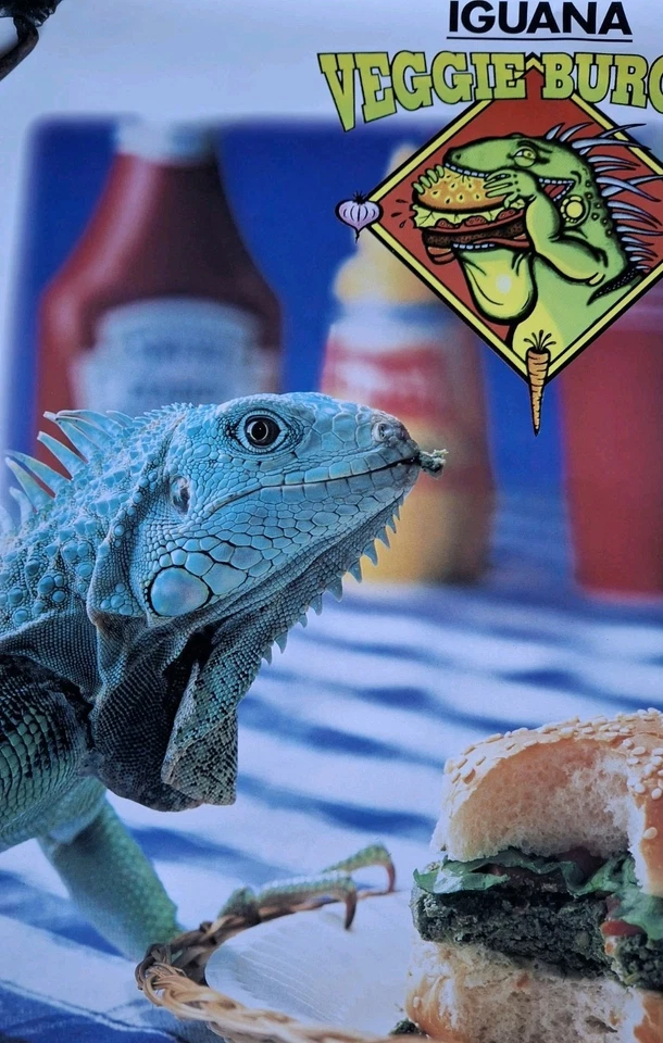 Póster publicitario vintage de acuario pecera reptil zoológico hamburguesa vegetariana años 90 Foto 3 de 4