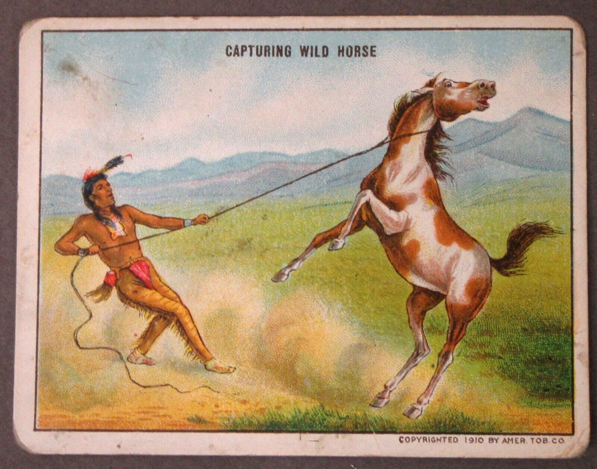 1910 T73 Indian Life CAPTURING WILD HORSE Hassan Tobacco Card
