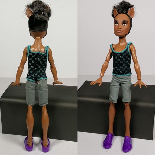 Monster High Pack of Trouble Clawd Howleen Clawdeen Wolf Familie Set gebraucht LESEN - Bild 8 von 19