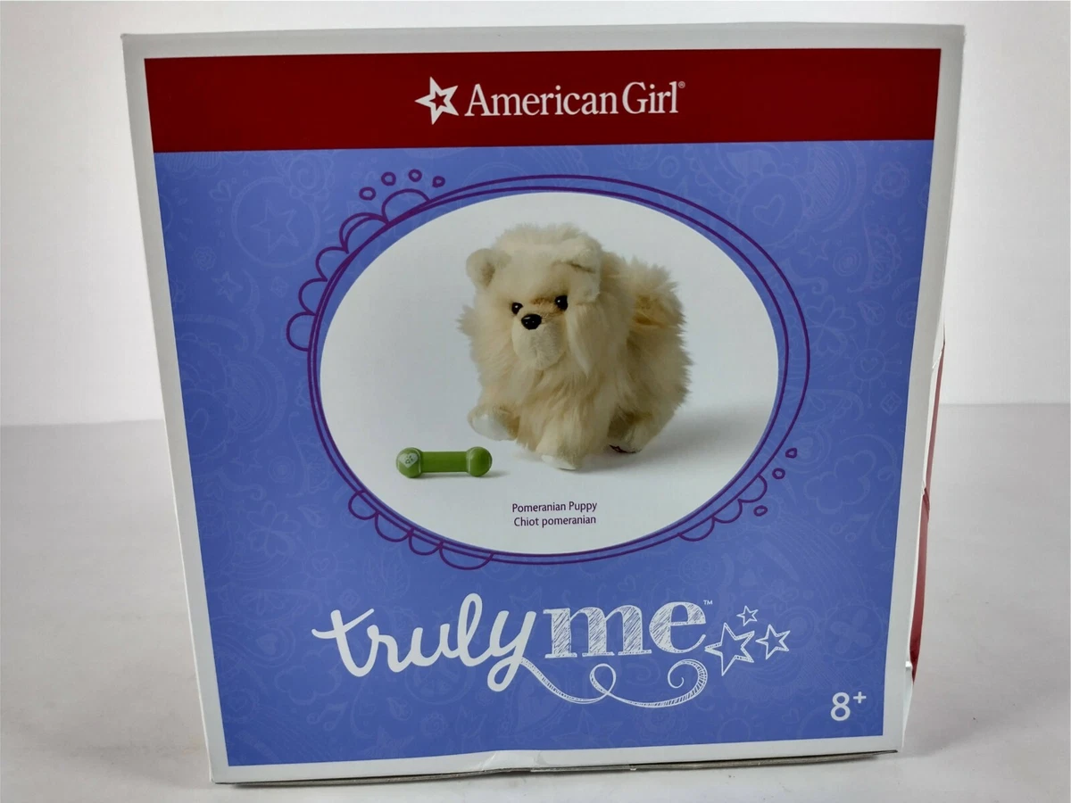 American sale girl pomeranian