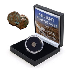 Ancient Bronze Coin of the Biblical Holy Land - Nabatean Coin - BOX and COA
