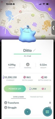 Pokemon Go Shiny Ditto Mütze (Hintergrund)