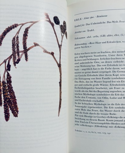 Symbolik der Pflanzen. Beuchert, Marianne. 1999 Insel Verlag - Bild 5 von 5