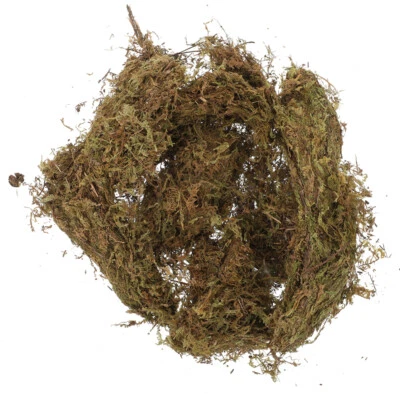2 Packs Moosbettwäsche Mikroszene Pflanzer Getrocknetes Basteln - Bild 1 von 4