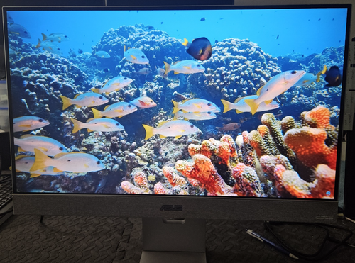 ASUS ZenScreen MS27UC 27” 4K UHD IPS Smart Monitor Google TV HDR10+ USB-C - Picture 2 of 6