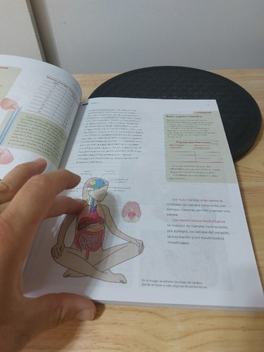 Ciencias Naturales Sexto Grado Spanish Workbook 6th Grade HOMESCHOOLING Science - Picture 10 of 19
