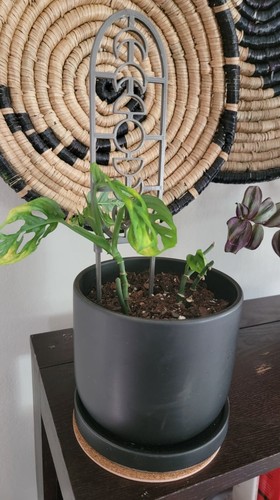 Moon Phases Garden Plant Climbing Trellis Vine Rack Support