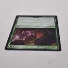 Foto 5 di 7