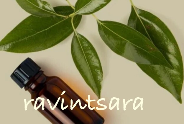 GREEN MAGICK Aromatherapy 5ml Glass Dropper Bottle Essential Oil Blend