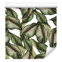 10M Vlies Tapeten Rollen Blumen Exotisch Pflanzen BläTter Natur Tropen Xxl 3153