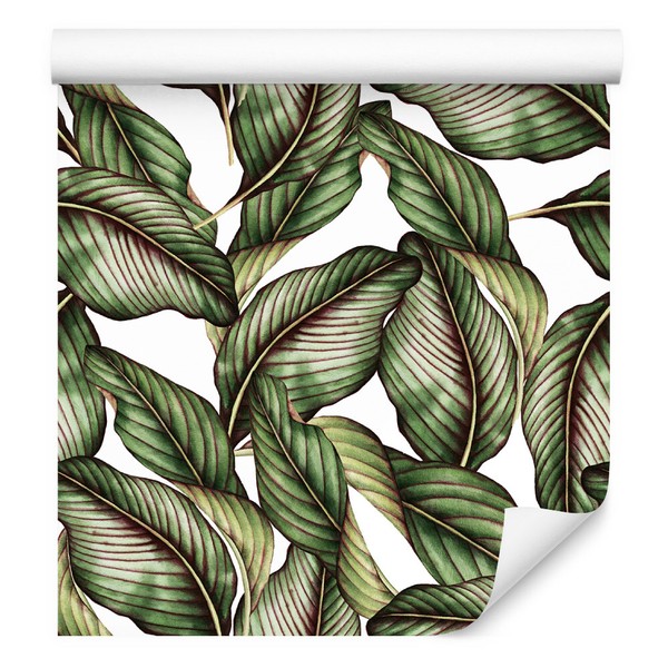 10M Vlies Tapeten Rollen Blumen Exotisch Pflanzen BläTter Natur Tropen Xxl 3153-image