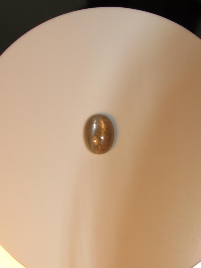 Picture 6 of 6