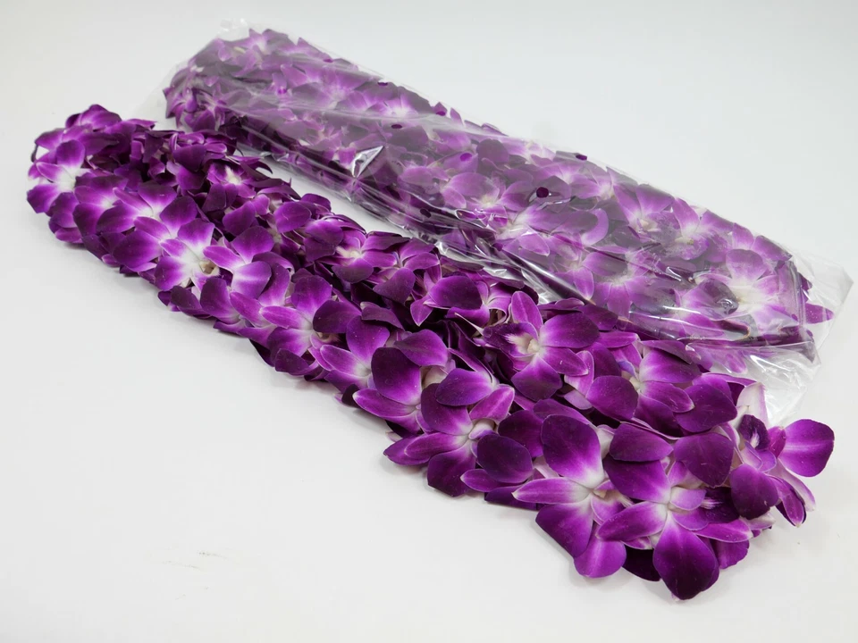 Orquídea doble Lei púrpura recién hecha a mano para graduación - ¡Envío gratuito! Foto 2 de 4