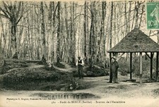Card SAINT VINCENT DU LOROUER Forest of Bercé Sources de l'Hermitière