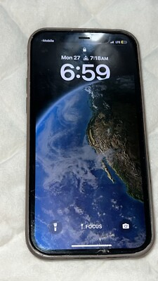 12 pro max with tiktok