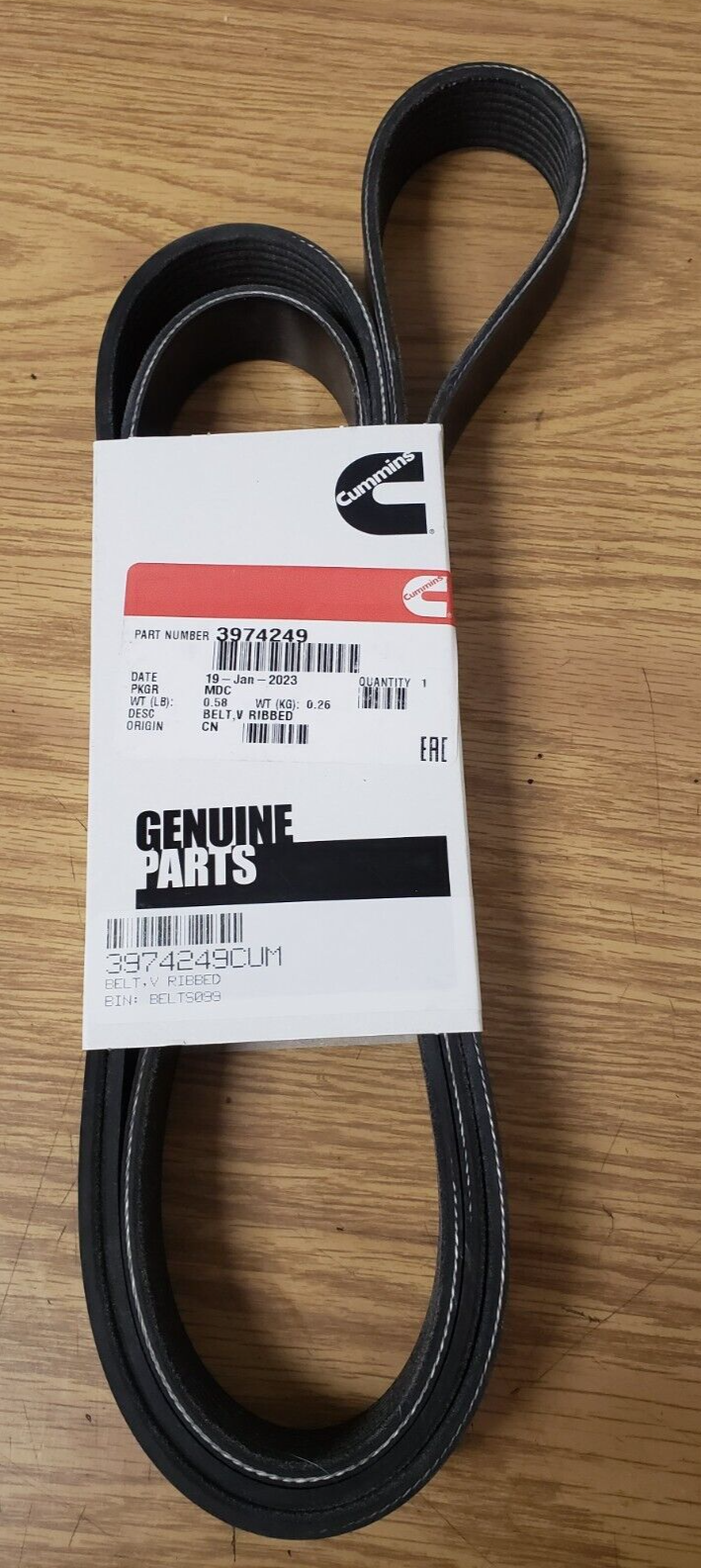 ~ BRAND NEW GENUINE CUMMINS PART ~ ACCESSORY DRIVE RIBBED V-BELT ...