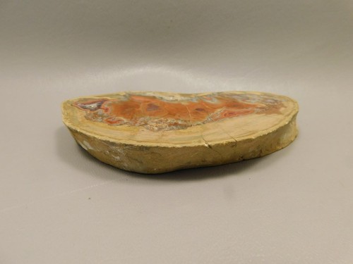 TeePee Canyon Agate Polished Stone Collector Rock South Dakota #O1 - Picture 5 of 6