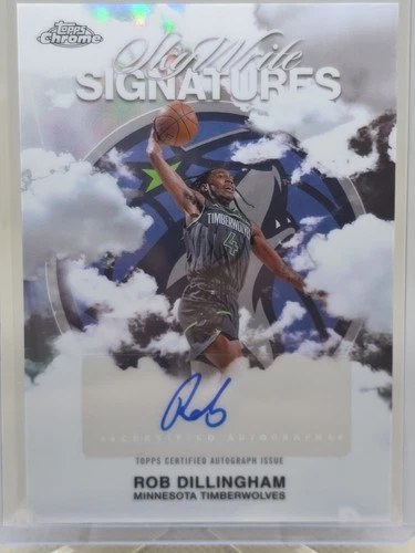2025 Topps Chrome Rob Dillingham Sky Write Signatures (RAW)