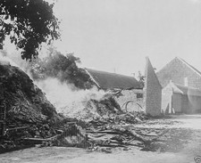 Belgian farm house burned by invading German soldiers World War I WWI 8x10 Photo